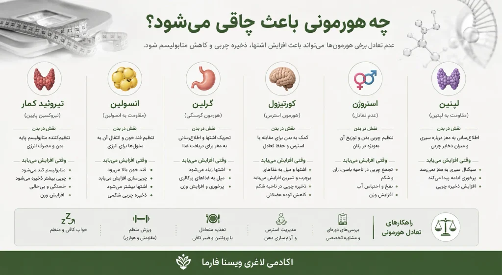 هورمون های چاق کننده