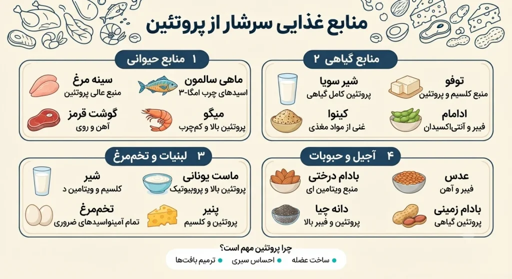 رژیم پروتئین بالا