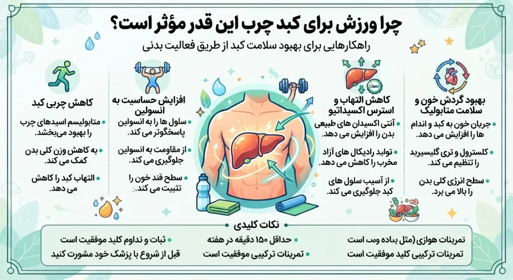 ورزش برای کبد چرب