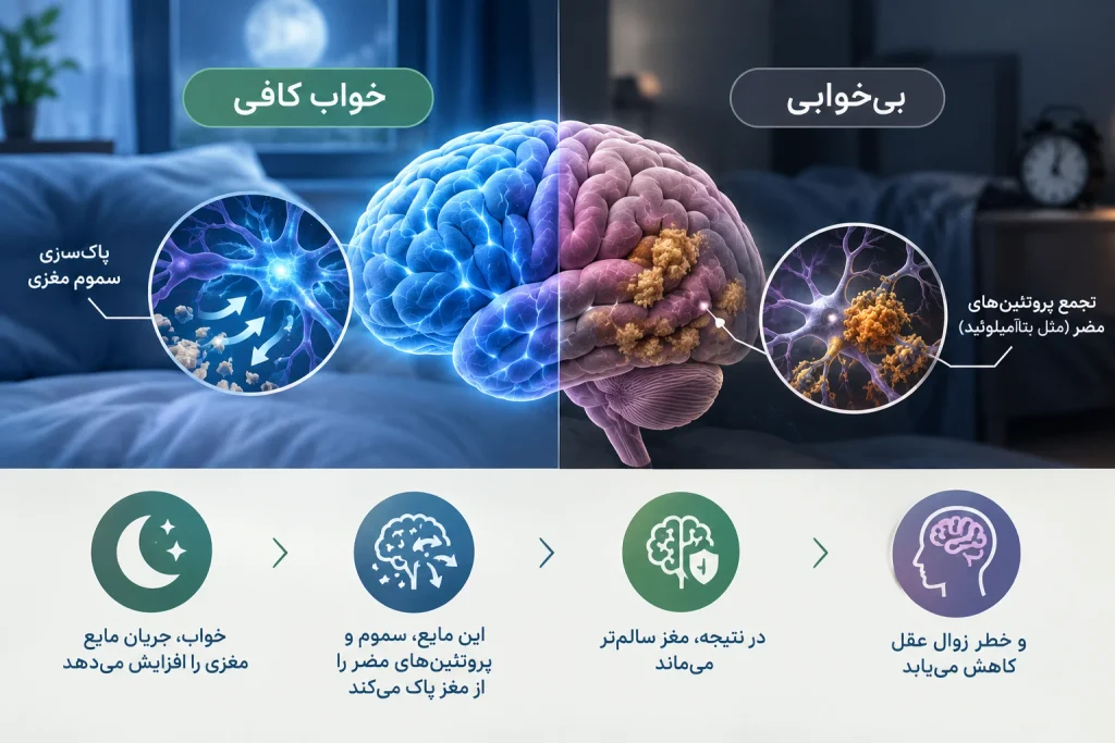 خواب و آلزایمر