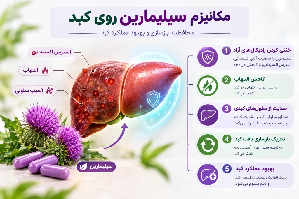 سیلیمارین