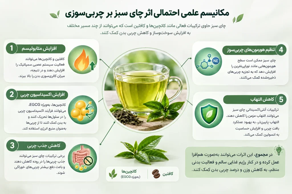 چای سبز و لاغری