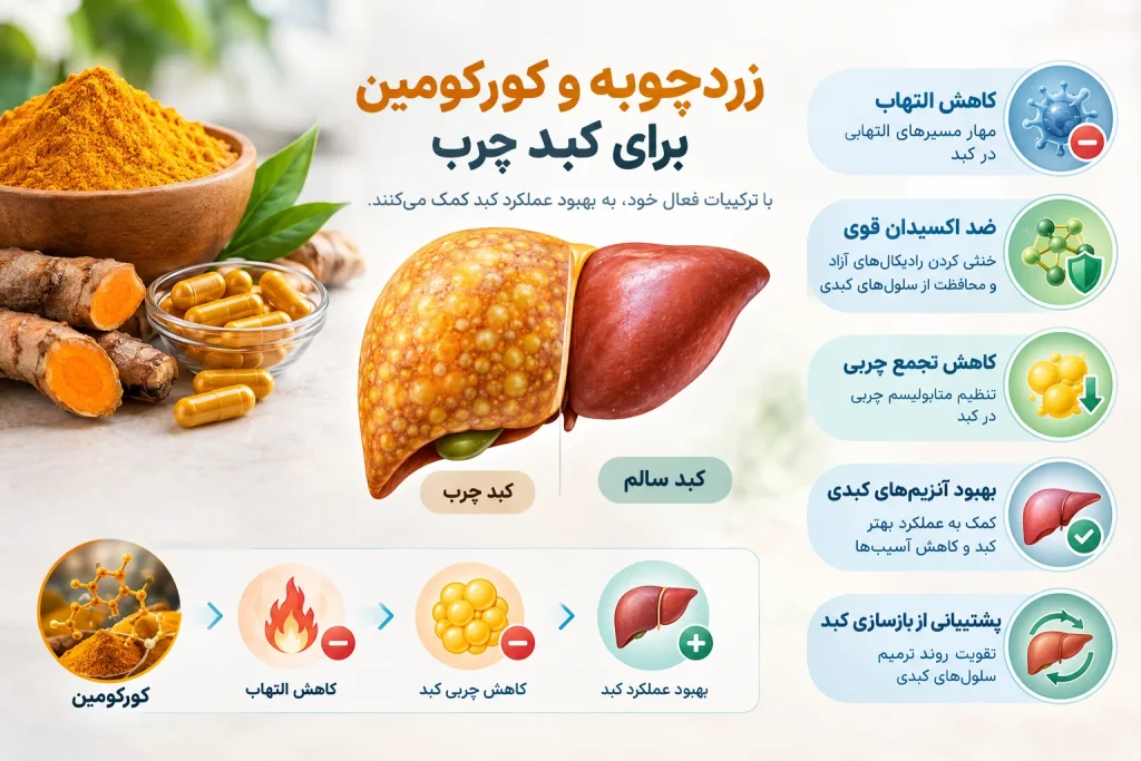 زردچوبه و کورکومین برای کبد چرب
